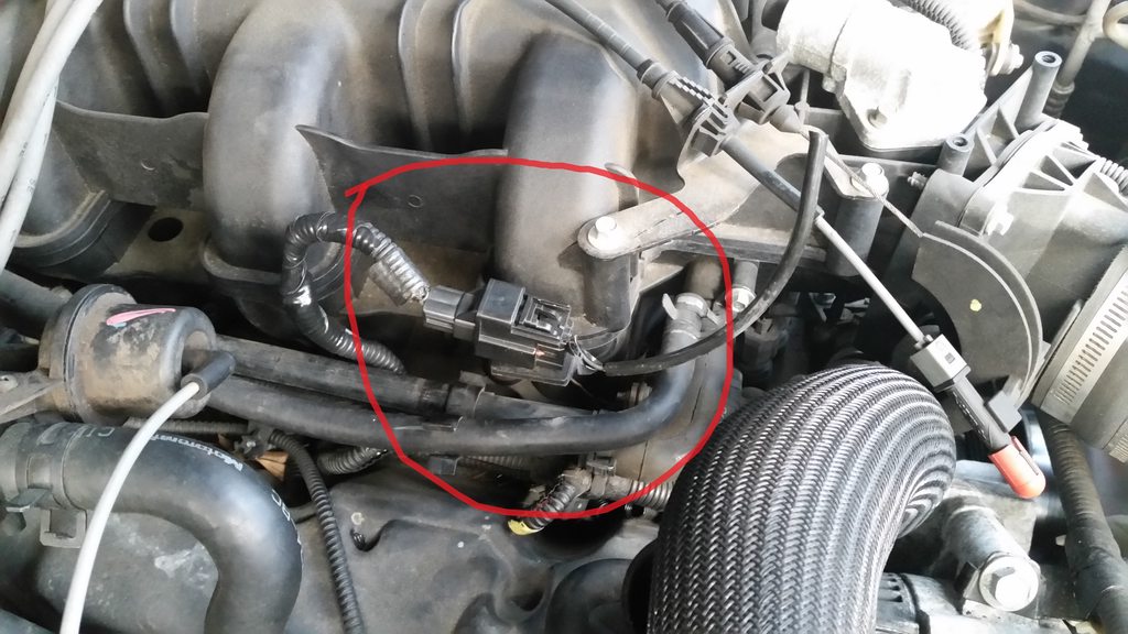 Ev46y56h.jpg