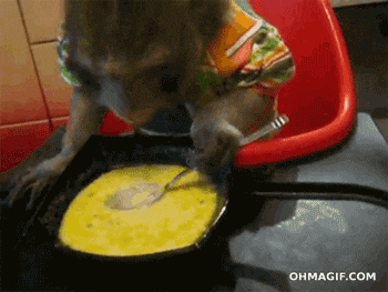 U4v9jYPcDfMFq.gif