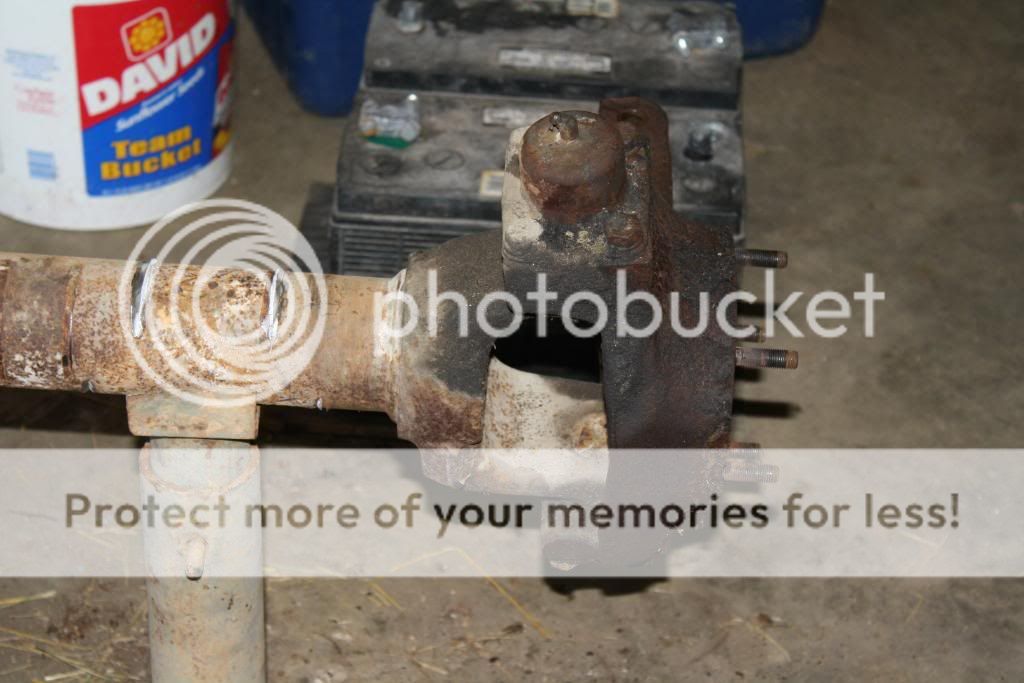 IMG_4660.jpg