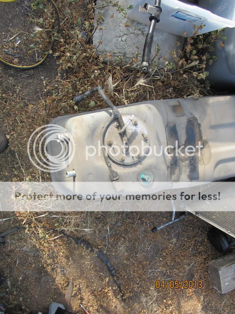IMG_2340_zps0635c842.jpg