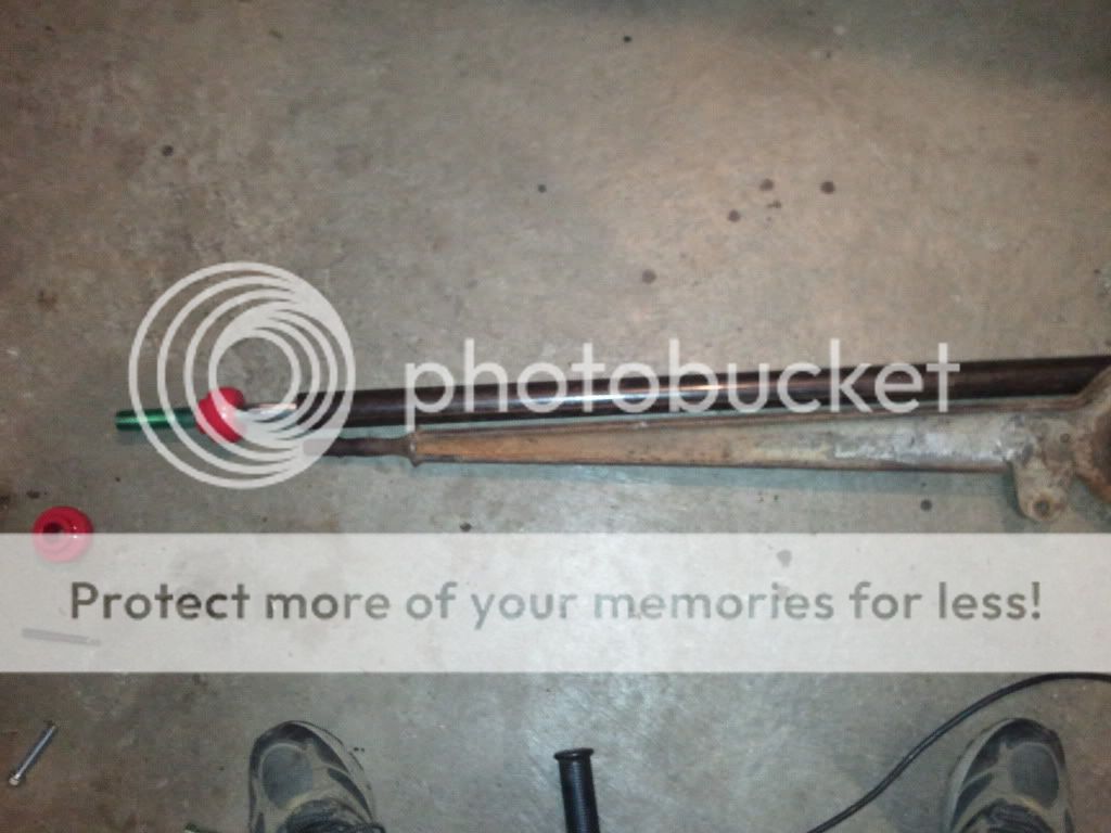 2011-07-08203642.jpg