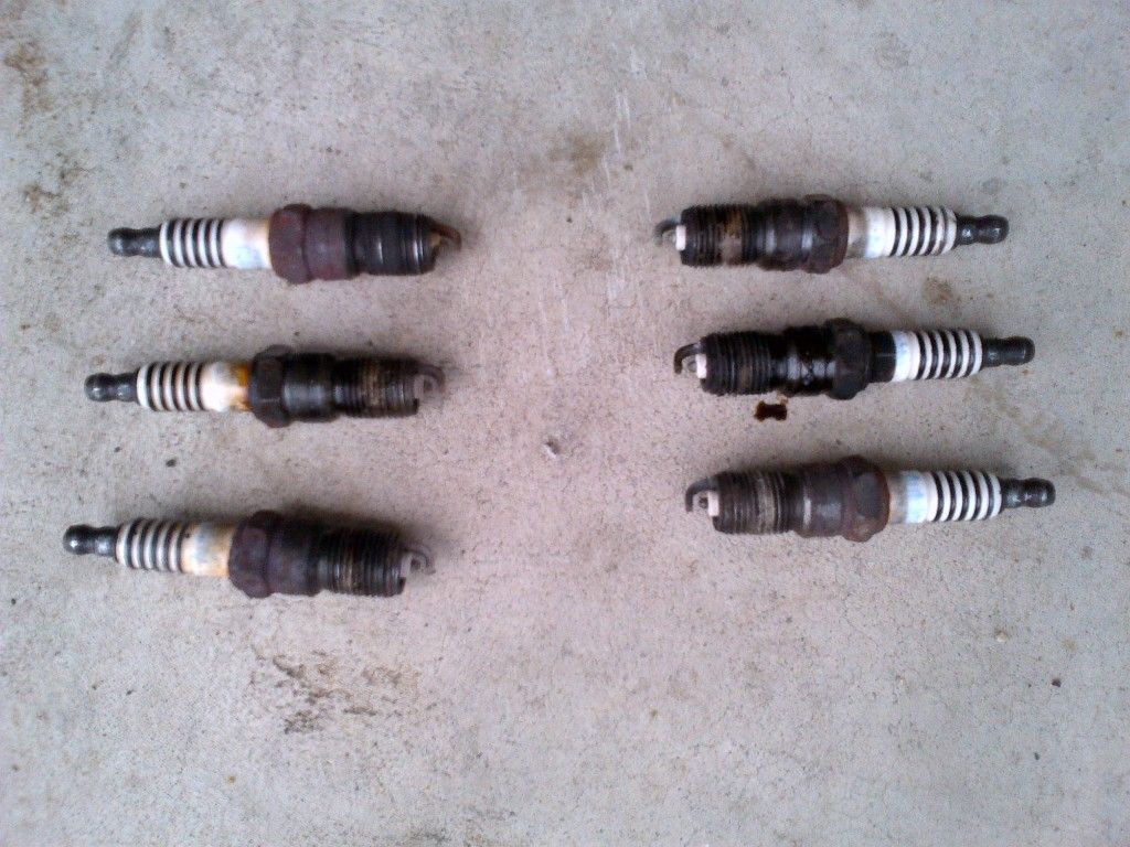 IMG-20120811-00043.jpg