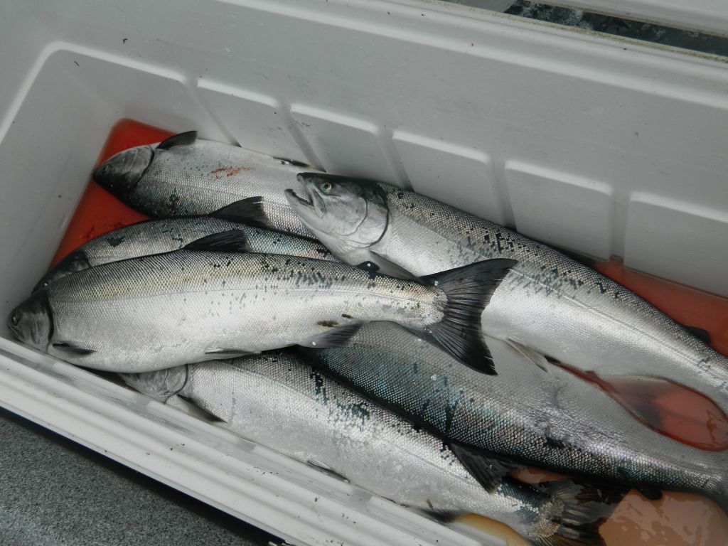 fishin006-1.jpg