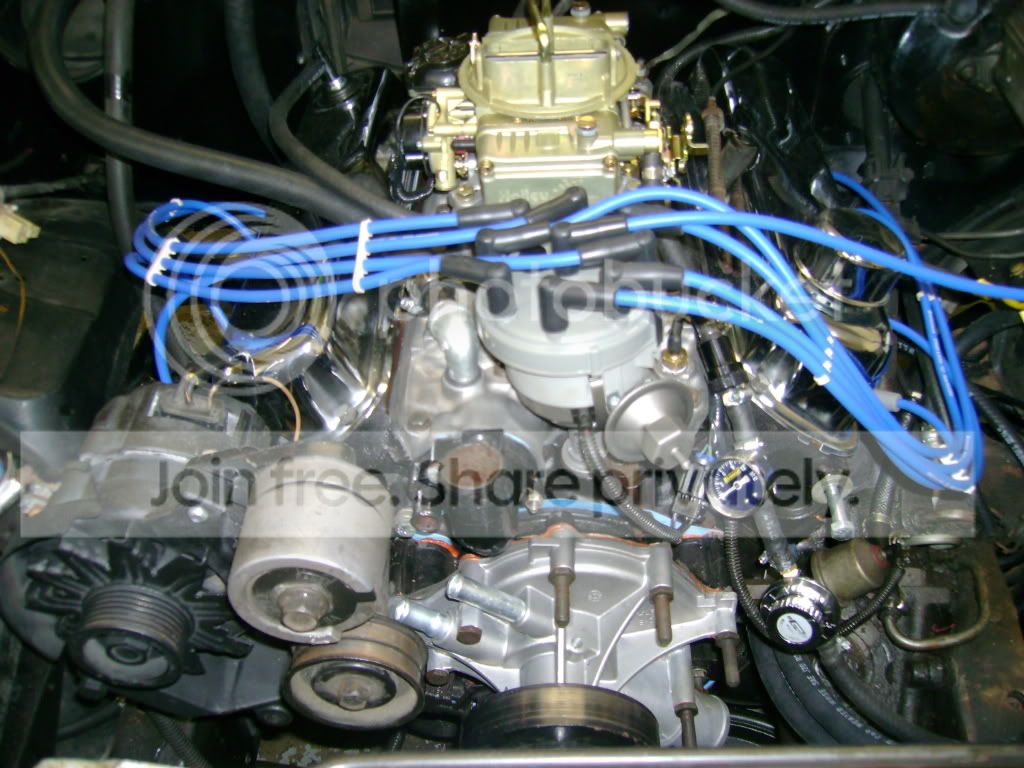 In like a lamb out like a lion!