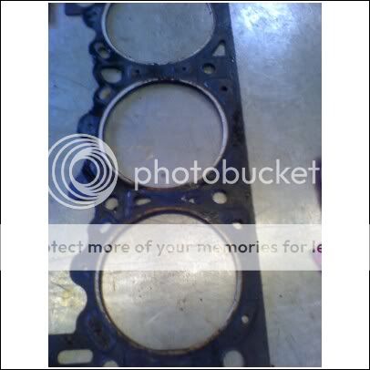 gasket1.jpg