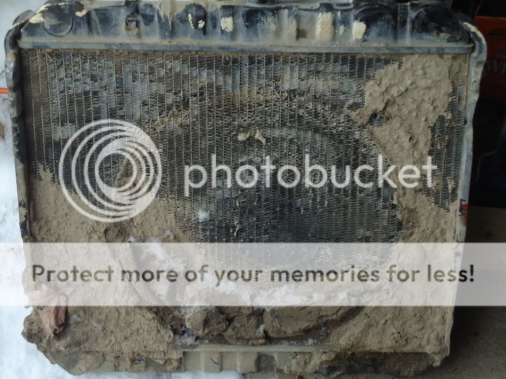 DSC00782.jpg