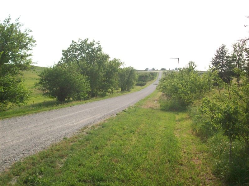 105_0825.jpg
