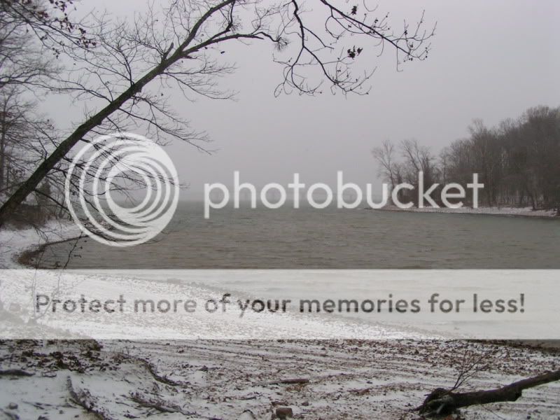 Dec122010085.jpg