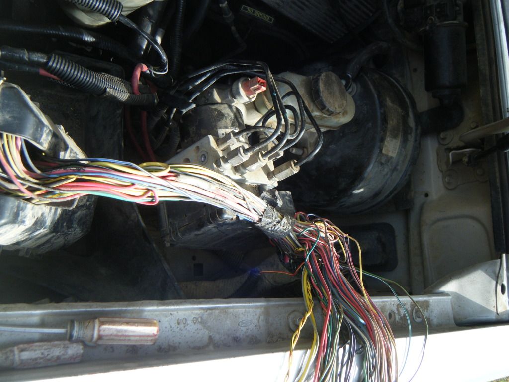 DSCF5608.jpg