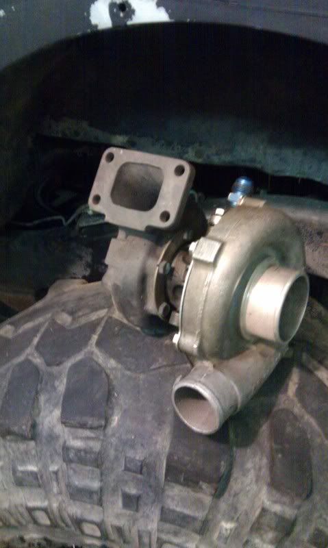 IMAG0395.jpg