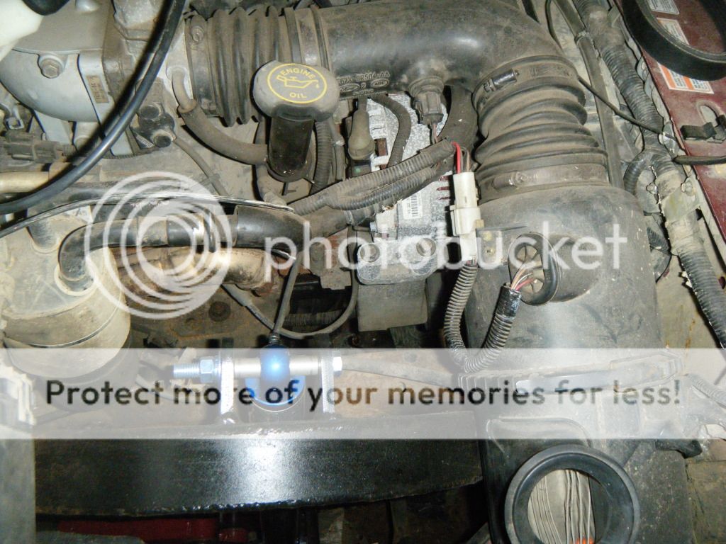 DSCF5640.jpg