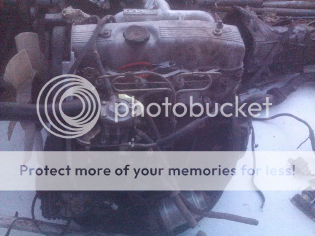 IMG_20130407_192639_zps4399c9ac.jpg