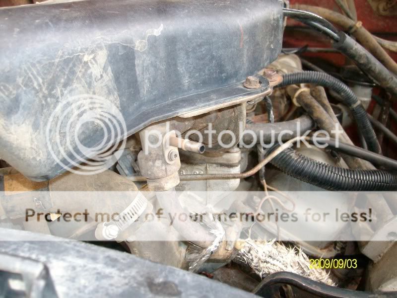 SANY0322.jpg
