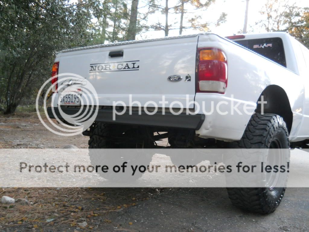 bumper103.jpg