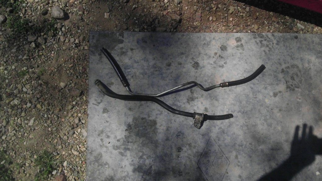 IMAG0247.jpg