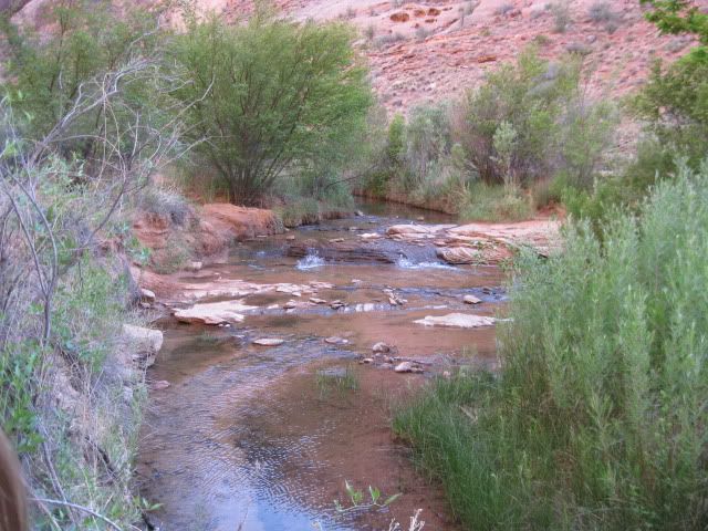 MondayNegroTrail027.jpg