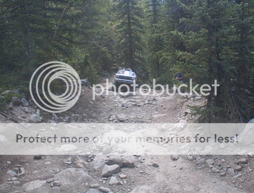IMG_0177.jpg