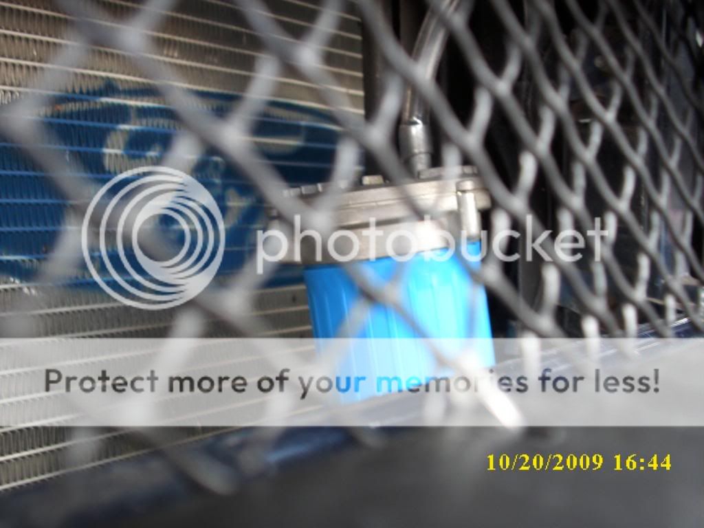 DSCI0309.jpg