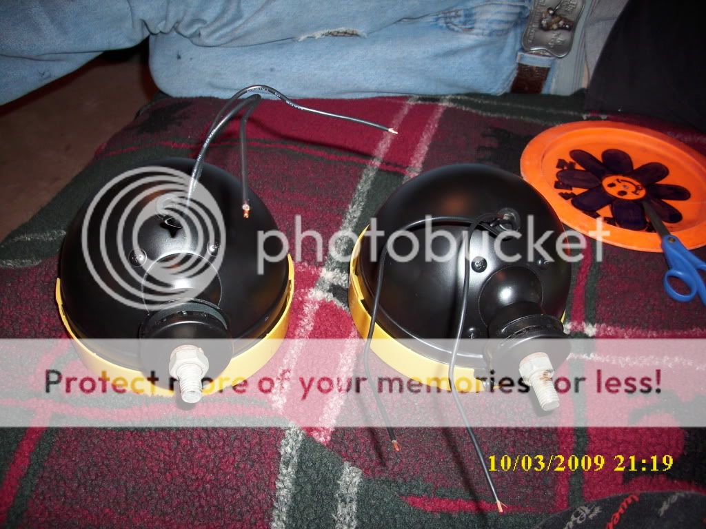 DSCI0118.jpg