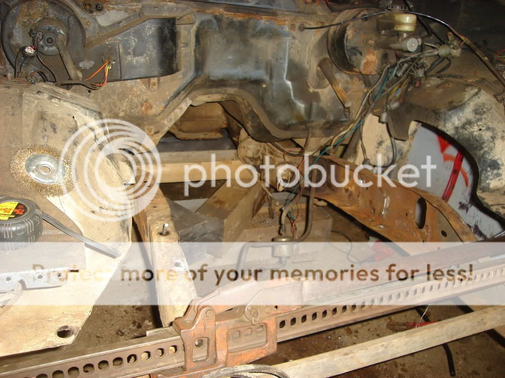 DSC05781.jpg