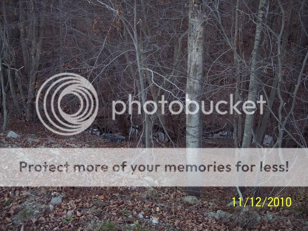 100_2520.jpg
