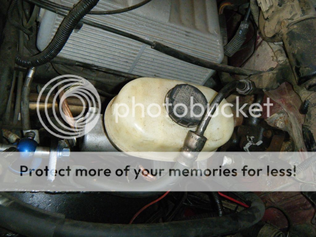 DSCF5637.jpg