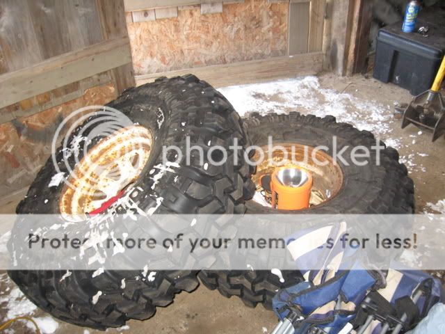 IMG_3538.jpg