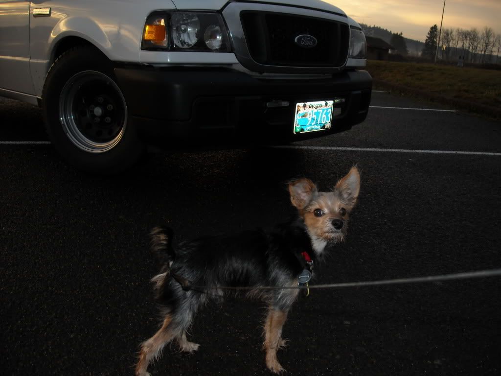DSCN3462.jpg