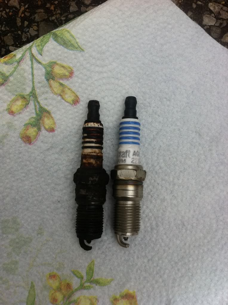 9f417dc9.jpg