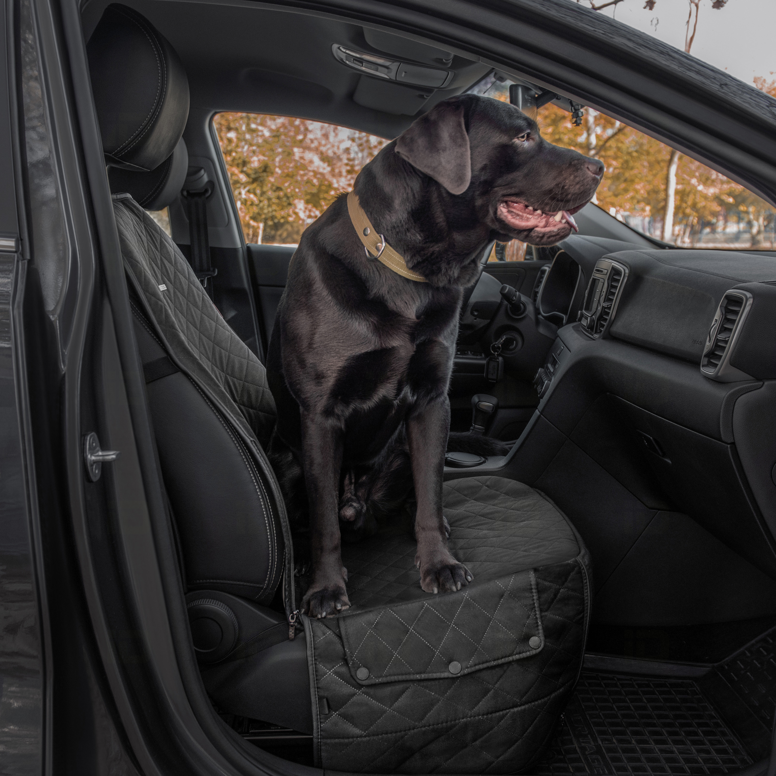 Prolong the life of the truck’s interior with Rixxu Seat Covers + Promo