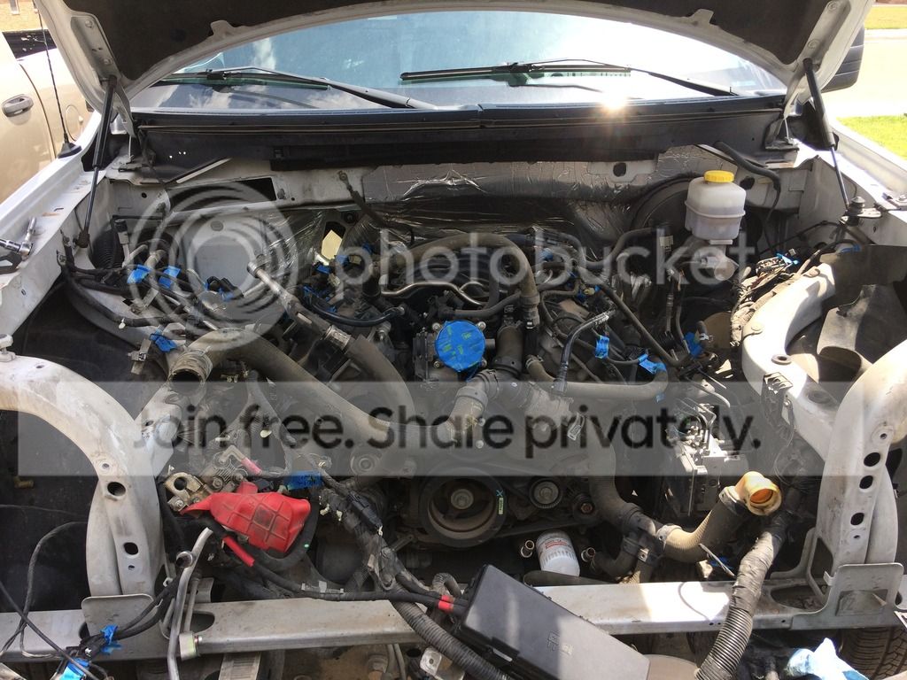 Drag Truck - The Danger Ranger