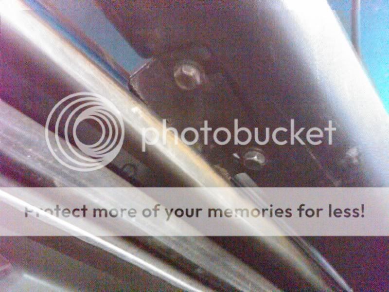 IMG00806-20110416-1749.jpg