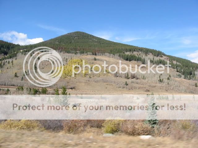 IMG_1074.jpg