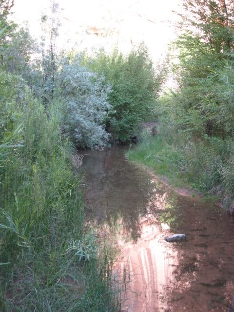 MondayNegroTrail023.jpg