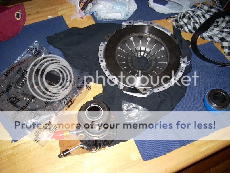 DSCN0656.jpg