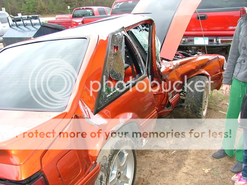 mustang034.jpg