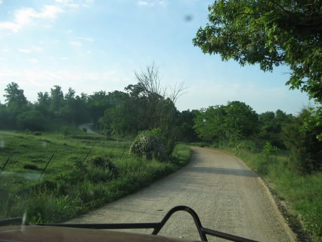 SMORR5-5-12002.jpg