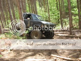 IMG_4086.jpg