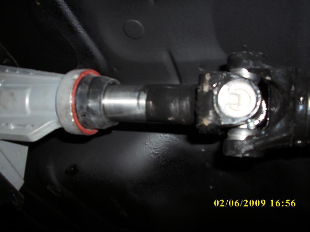 DSCI0300.jpg