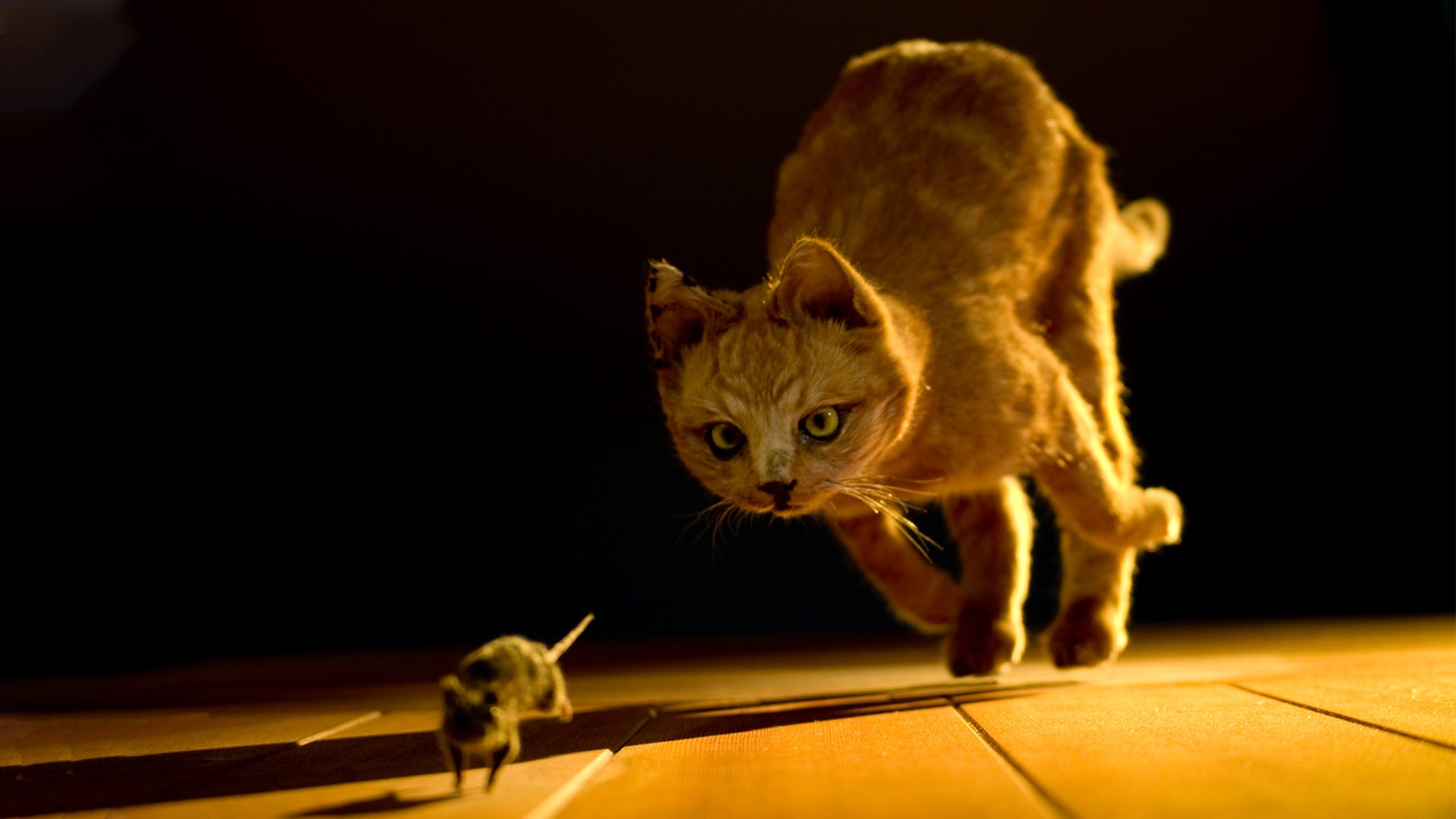 How-to-Train-Your-Cat-to-Hunt-Mice.jpg