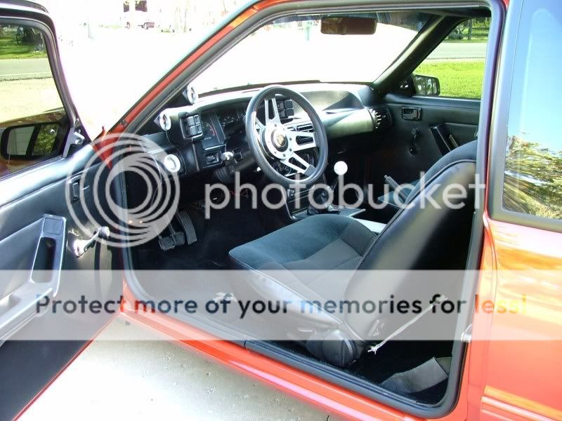 stangpictures006.jpg