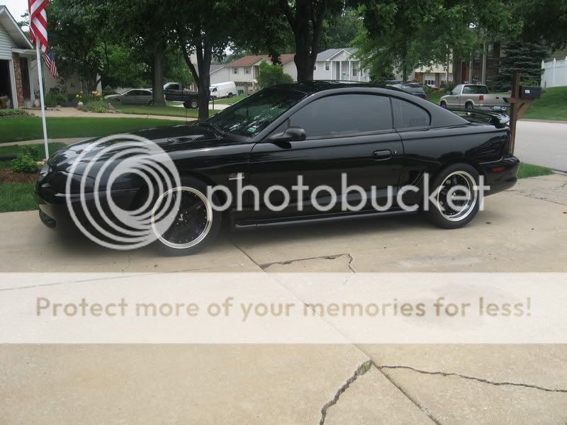 travispics403.jpg