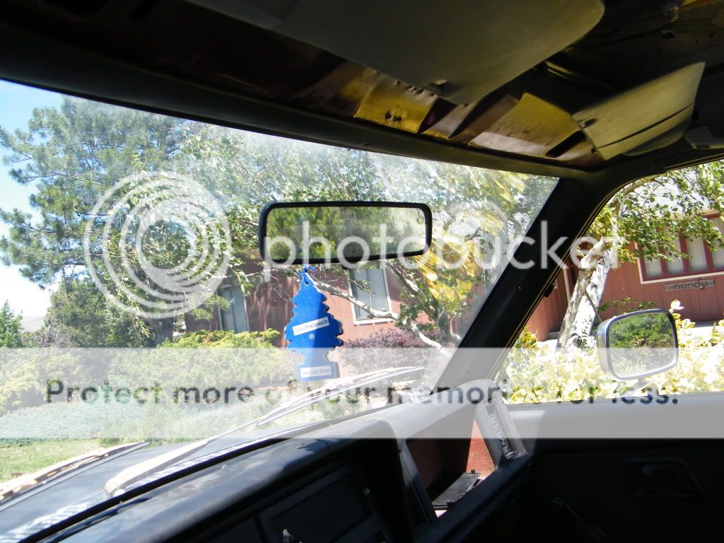 DSCF4181.jpg