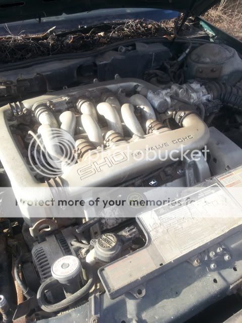 20131223_144806.jpg