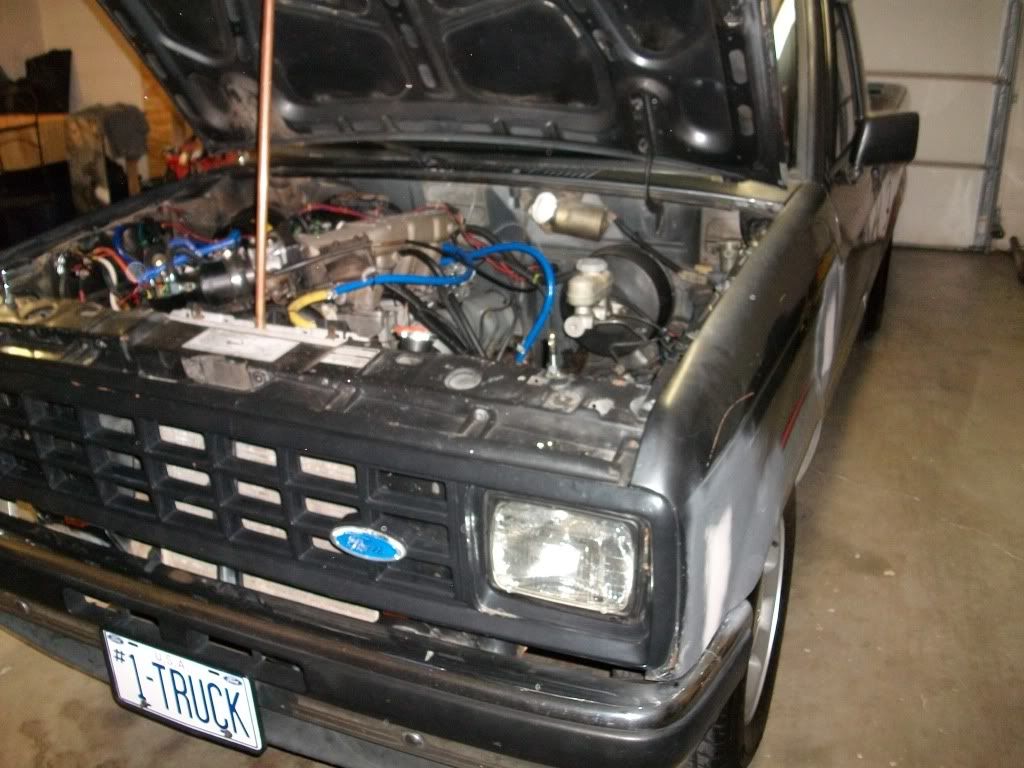 SANY0335.jpg