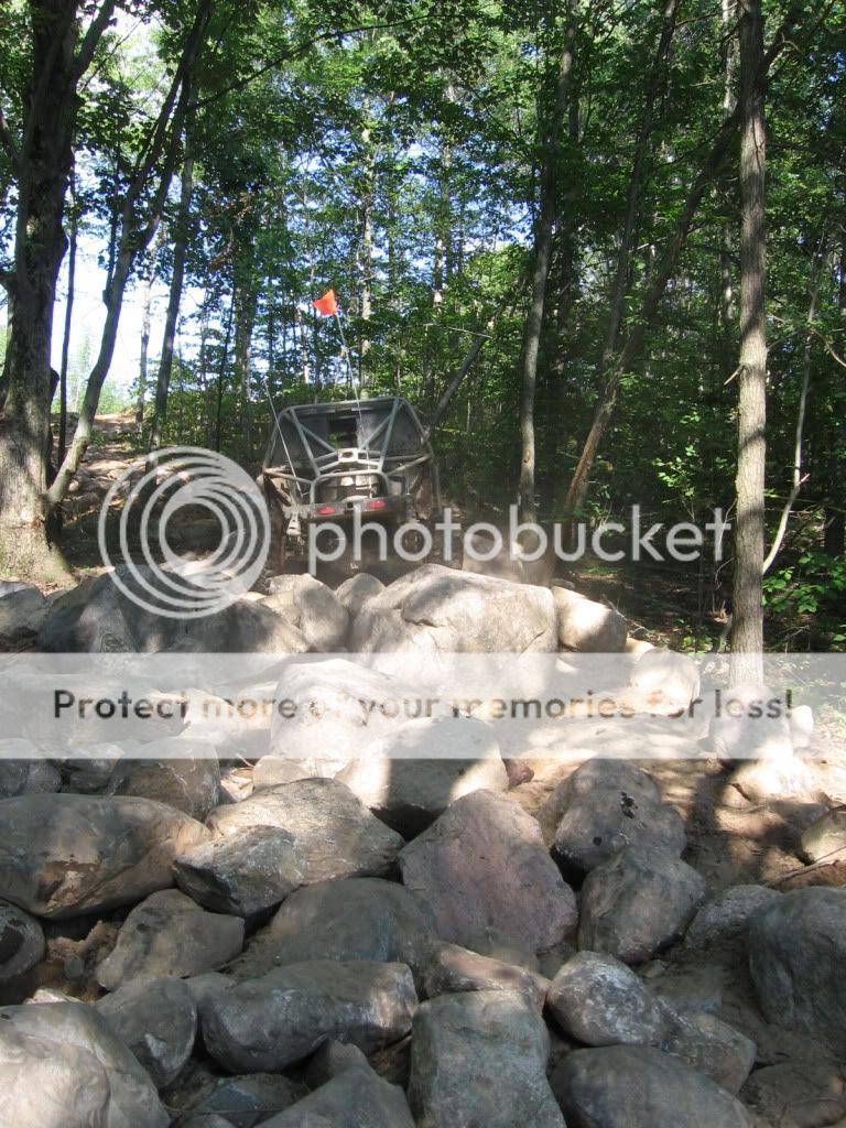 IMG_2555.jpg