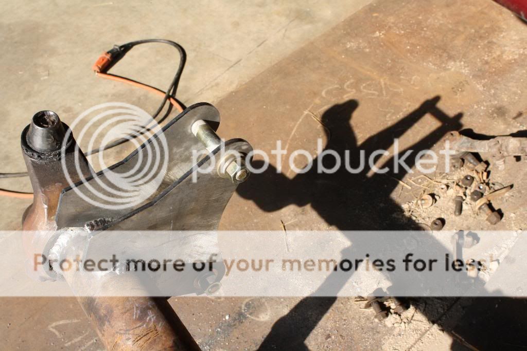 IMG_5333.jpg