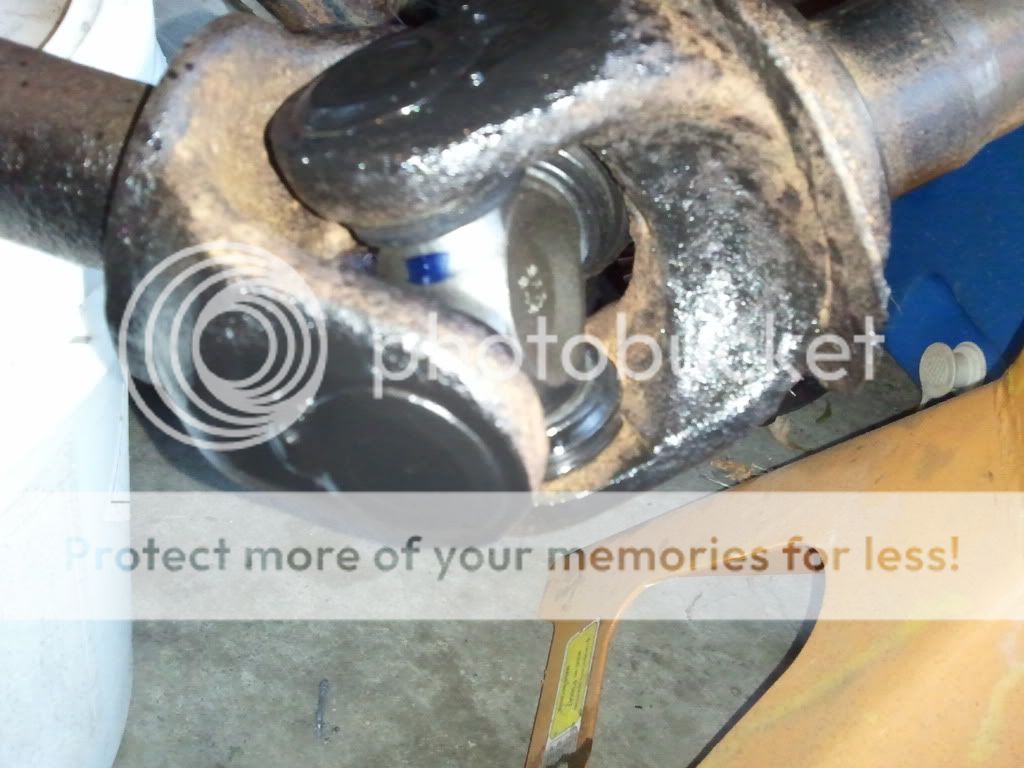 2011-08-07193256.jpg