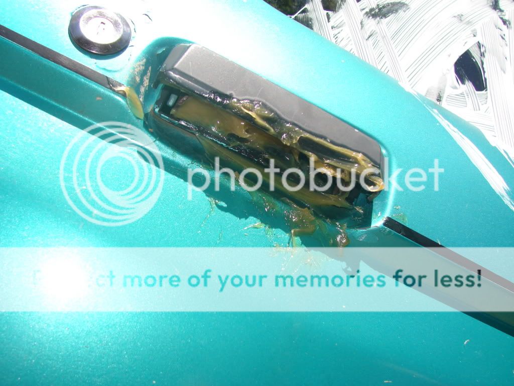 DSC00430.jpg
