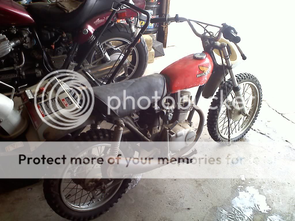 20110120123537.jpg